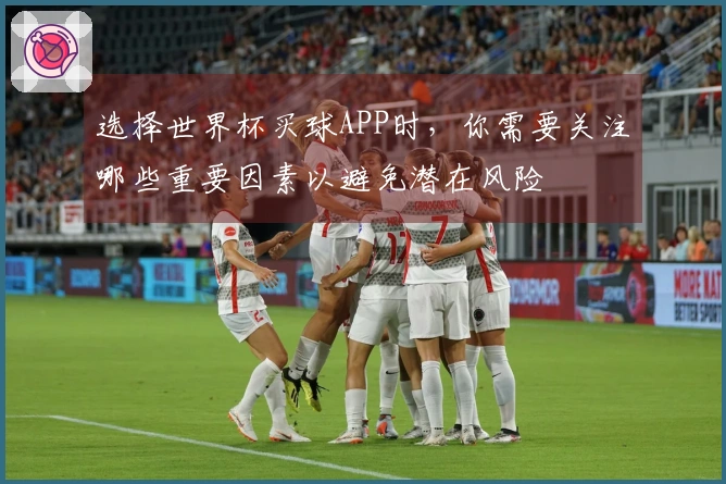 选择世界杯买球APP时，你需要关注哪些重要因素以避免潜在风险