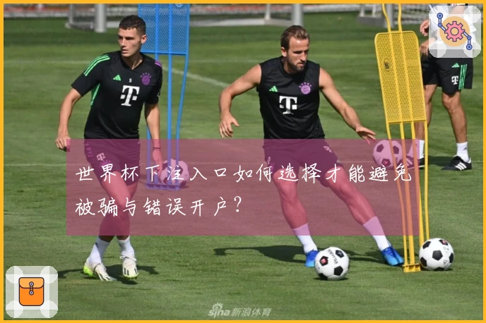 世界杯下注入口如何选择才能避免被骗与错误开户？
